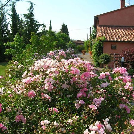 Sant'Alberto Campiglia d'Orcia Luaran gambar