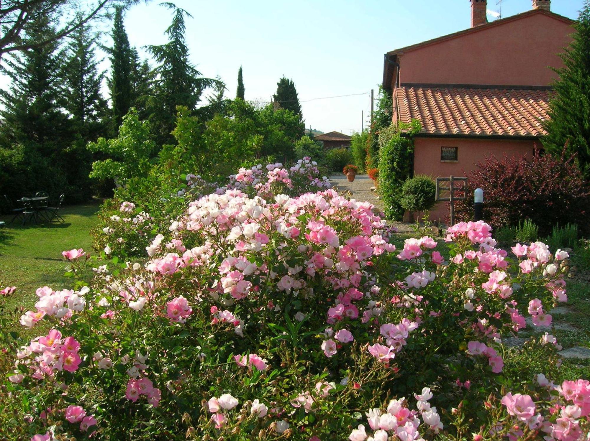 Sant'Alberto Campiglia d'Orcia Luaran gambar